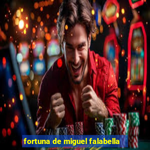 fortuna de miguel falabella